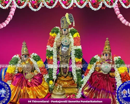 04 Thiruvellarai Pankajavalli Sametha Pundarikakshan