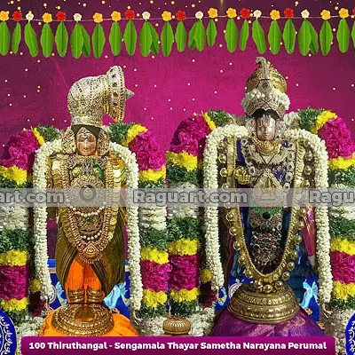 Thiruthangal - Sengamala Thayar Sametha Narayana Perumal
