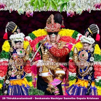 28 Thirukkavalambadi - Senkamala Nachiyar Sametha Gopala Krishnan