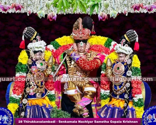 28 Thirukkavalambadi - Senkamala Nachiyar Sametha Gopala Krishnan