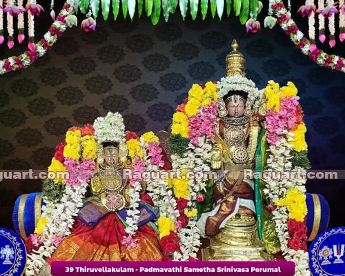 39 Thiruvellakulam - Padmavathi Sametha Srinivasa Perumal