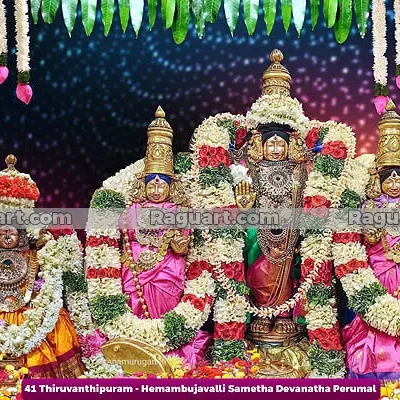 Thiruvanthipuram - Hemambujavalli Sametha Devanatha Perumal