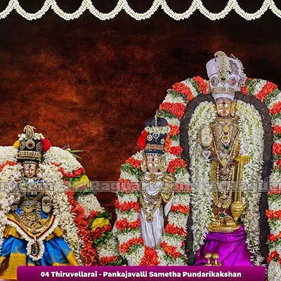 Thiruvelukkai - Amritavalli Sametha Yoga Narasimhar