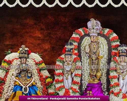 Thiruvelukkai - Amritavalli Sametha Yoga Narasimhar