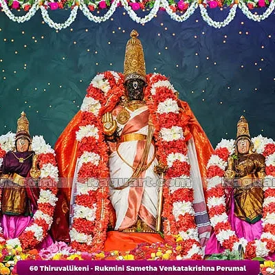 Thiruvallikeni - Rukmini Sametha Venkatakrishna Perumal