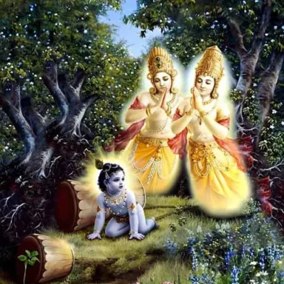 Yamala-Arjuna trees