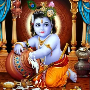 6 butter thief krishna